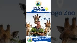 Affordable Accommodation Batemans Bay Holiday Park South Coast NSW Pet Friendly Caravan Park