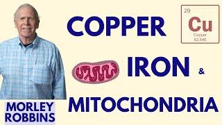 Copper & Trace Minerals for Optimal Mitochondrial Health | Morley Robbins