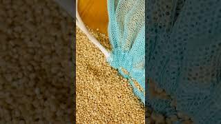 Sand Be Gone! Easy Hacks to Remove Sand from Everything!