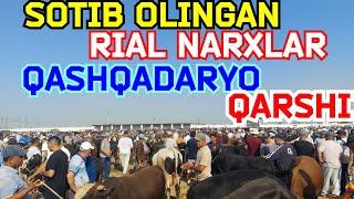 SOTIB OLINGAN REAL NARXLAR QARSHI KARVON MOL BOZORIDAN