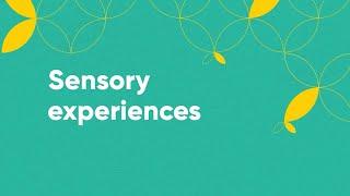 Sensory Experience