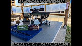 308 Ammo Test: American Marksman Bullets 1st: Sabre M110: Sako TRG22