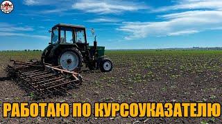 Трактор снова в строю! Сменил одни бороны на другие. Бароновка подсолнуха по всходам.