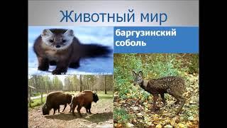 Если тебе по душе красота земная