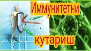 #12. Иммунитетни ошириш | Immunitetni oshirish