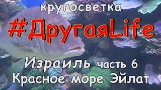 Израиль. Красное море. Эйлат l #ДругаяLife