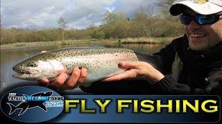 Fly Fishing Tips for Beginners - TAFishing Show