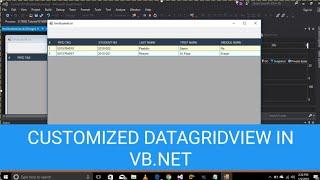 Customized DataGridView Using VB.Net