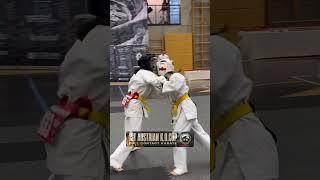 1st Austrian K.O. Cup 2024 #ifkkyokushin #ifkaustria #kyokushin #fullcontact #prokyokushin