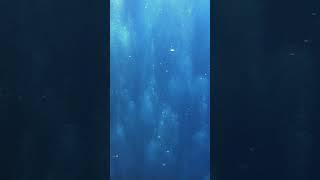 Ocean sounds #short #viral #shortsvideo