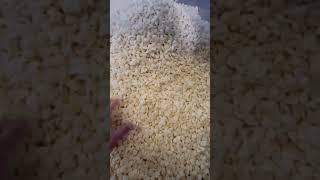 breakfast cereal making machine