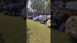 Vintage Rolls Royce Car Collection 