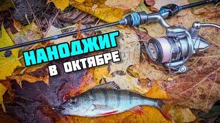 НАНОДЖИГ | Ловля окуня и ротана в Тульской области | Спиннинг Гаммарус (Gammarus)