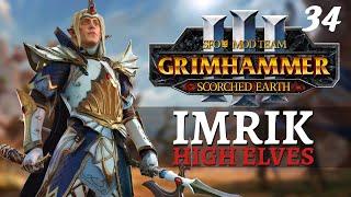 SAVIORS OF BRETONNIA | SFO Immortal Empires - Total War: Warhammer 3 - High Elves - Imrik #34