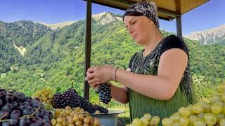 Grape Harvest Day – Homemade Jam & Sweet Compote Recipes