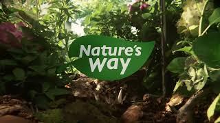 Natures Way Alive Multivitamin