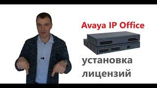 Установка лицензий на мини АТС Avaya IP Office Server Edition