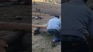 REAL LIFE LINCOLN LOGS!  raised bed with downed trees! #happy #homestead #viral #food #garden #grow