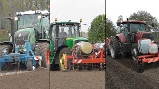 Planting potatoes