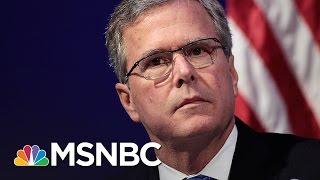 'Please Clap:' A Look Back At Jeb Bush's Campaign | All In | MSNBC