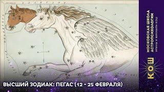 16+ Высший зодиак: Пегас (12 - 25 февраля)