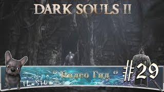 [Склеп Нежити] Видео Гид Dark Souls II #29 [Дубль Два]