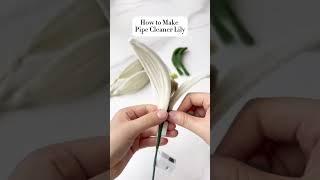 How to make lily with pipe cleaners? DIY flowers easily #diy #shorts #flowermaking