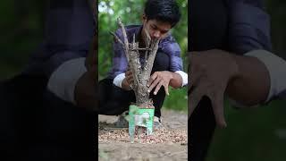 Amazing Lifehack: How to Easily Make a Stove for Comping! #survival #bushcraft #camping #outdoors