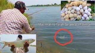 Machli Pakadne Ka Aasan Tarika Sikhaiye | Fish Hunting Technique