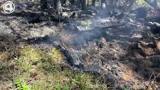 Урал в огне! В Свердловскую область вновь вернулись лесные пожары