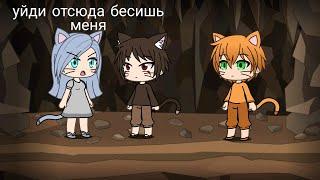 Коты-воители | Первый цикл |~в двух словах •Gacha Life•