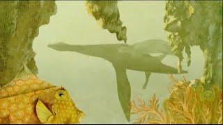 Animal Planet Idents // Fish