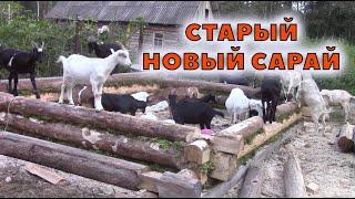 Хроника сарая. Часть 1