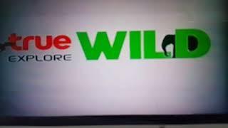 True Explore Wild Ident (from True Visions)