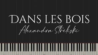 Dans les bois - Alexandra Stréliski (Piano Tutorial)