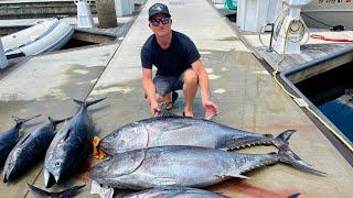 Limits of California Bluefin Tuna! (Catch, Clean and Cook)