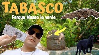 Parque Museo la Venta en Tabasco | ️Costos, ️Tips, ¿vale la pena? 