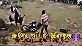 JALLIKKATTU MASS WHATSAPP STATUS TAMIL KP CREATION ️SUBSCRIBE LIKE SUPPORT CHANNEL