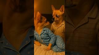 One Day as a Dog. #funny #aiart #dog #aicontent