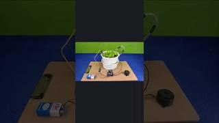 automatic plant watering system with water recycling ️ || amazing science project #shorts #diy