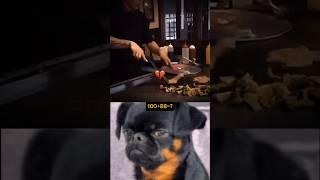 how is bro cooking  ? #funny #cat #dance #freaky