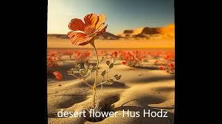 Hus Hodz- desert flower