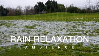10 Hour | Tranquil Rain in a Grass Field Ambience | Sounds for Sleep | Meditation | Studying