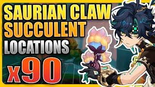 EFFICIENT 90 Saurian Claw Succulent FARM IN NATLAN !  (SPEEDRUN ROUTE) | Genshin Impact