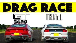 Ford Trolling Us? 2024 Ford Mustang GT S650 vs. Mustang Mach 1 S550. Drag and Roll Race.