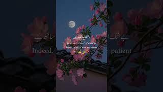 Indeed Allah is with the Patient .    Islamic Reminders| The guided path.  #reminder  #shortsvideo