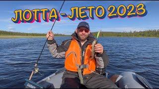 Рыбалка в Мурманске летом 2023, река Лотта - Верхнетуломское водохранилище. Кумжа, Щука, Окунь