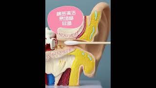 電動挖耳勺吸耳器掏耳朵清潔器