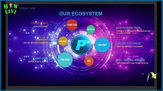 PayNet Coin Global Compensation Plan explained