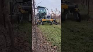 inter-Row Cultivator VITIS 2 PRO For Vineyards || Made By Dondi Spa Italy || #vineyard #cultivator